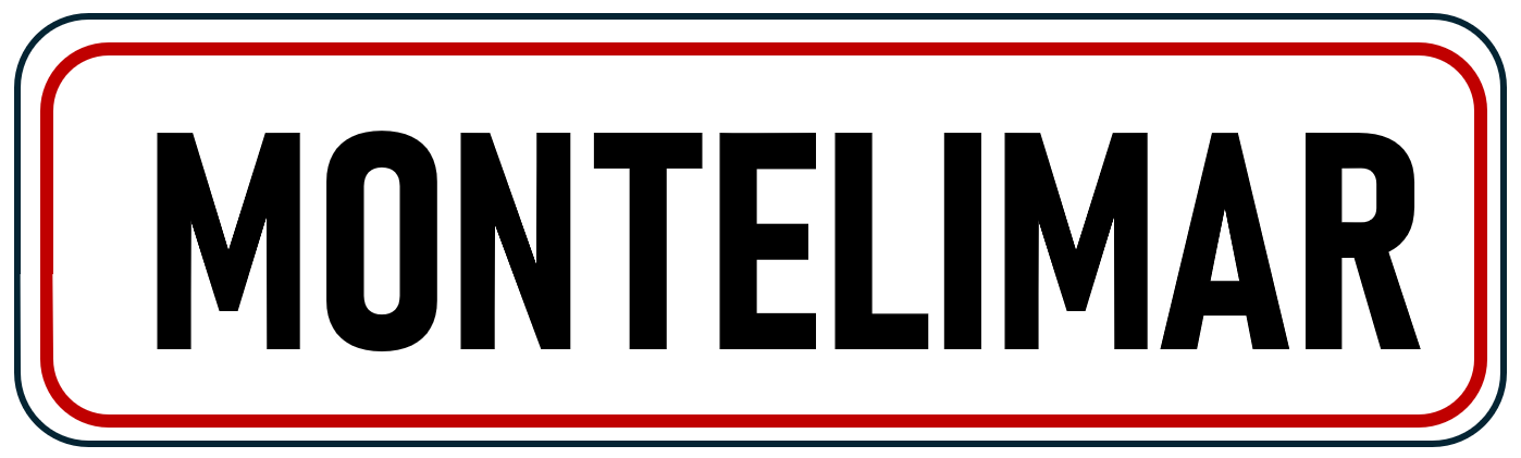Audit cybersécurité à Montélimar par NDSI Consult Pro Audit cybersécurité à Montélimar – NDSI Consult Pro